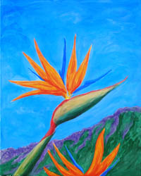 Birds of Paradise